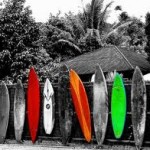 Punta Mita Surf